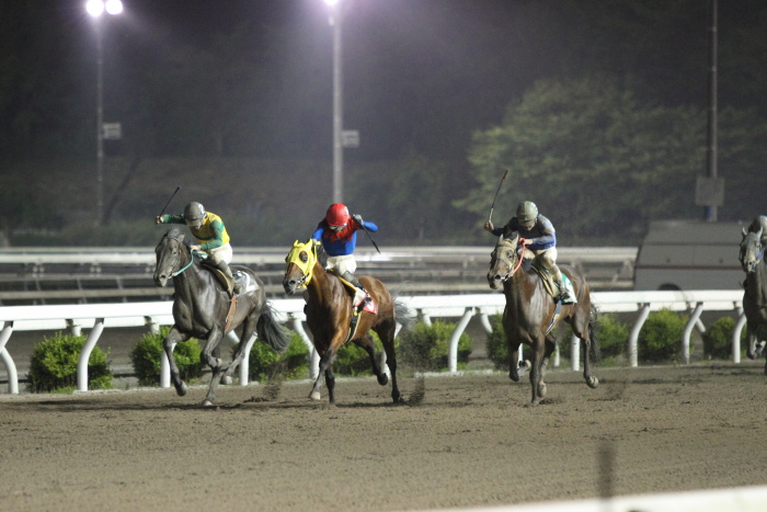 2014年6月29日（日） 高知競馬 12R 一発逆転 ファイナルレース C3-7記者選抜 その2_a0077663_917834.jpg