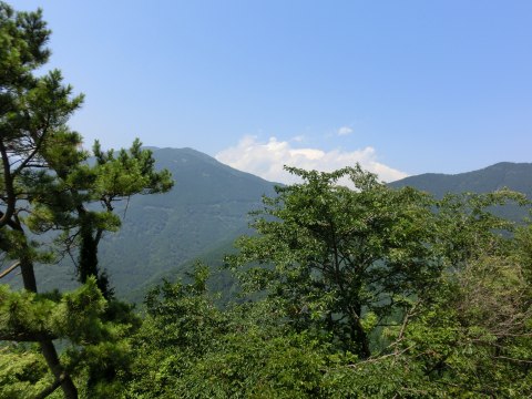 e0045768_21414734.jpg