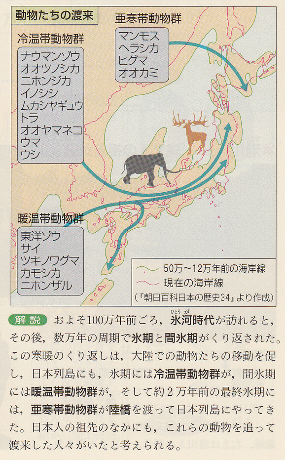 第1回日本史講座のまとめ① (日本人の祖先) : 山武の世界史 第1回日本史講座のまとめ① (日本人の祖先) : 山武の世界史