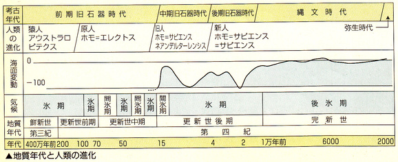 第1回日本史講座のまとめ① (日本人の祖先) : 山武の世界史 第1回日本史講座のまとめ① (日本人の祖先) : 山武の世界史