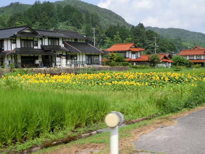 a0199979_18132485.jpg