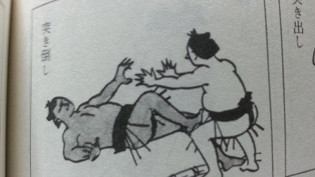 相撲の決まり手_f0228680_9121197.jpg