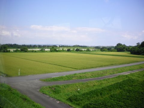 真夏の北陸ローカル線8(ひだ高山天照寺YH/高山本線)_b0005281_20591282.jpg