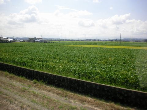 真夏の北陸ローカル線8(ひだ高山天照寺YH/高山本線)_b0005281_210749.jpg