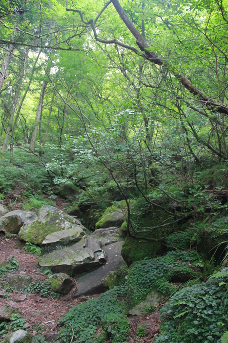 f0098083_11284285.jpg