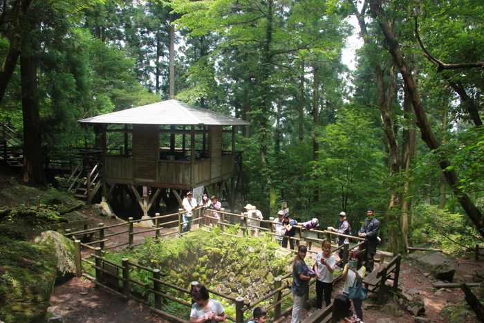 f0098083_1131315.jpg