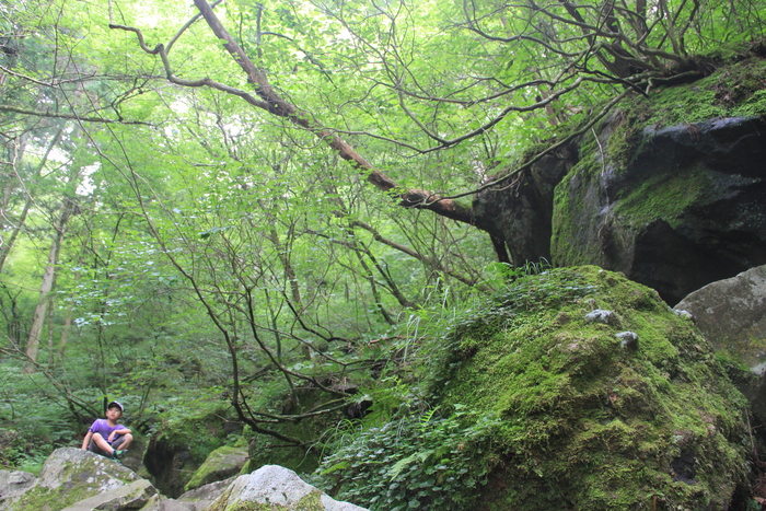 f0098083_1136516.jpg