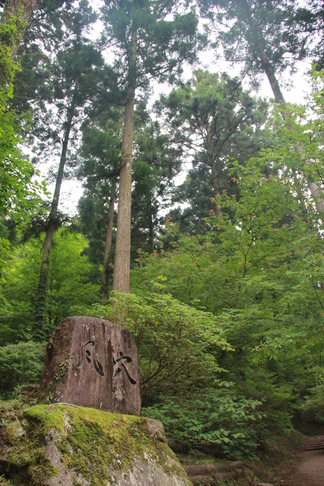 f0098083_11482531.jpg