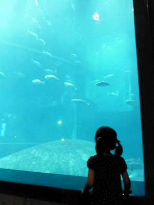 葛西臨海水族園にぐるっとパスで行ってきた_b0061384_9162325.jpg