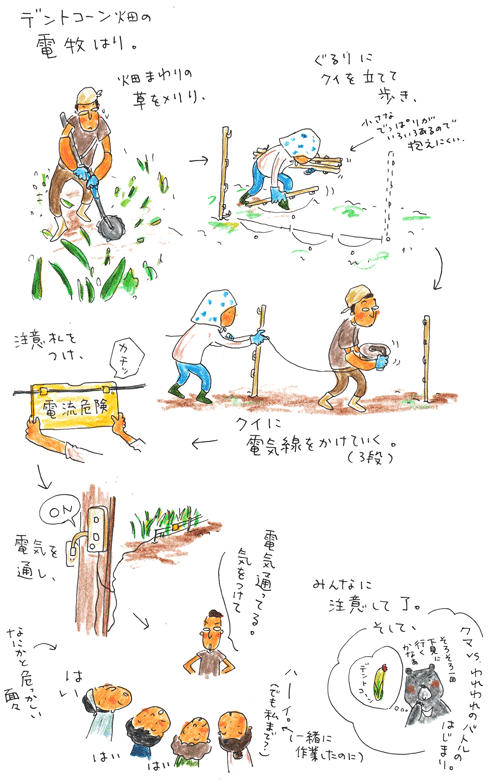 電牧張りと戦いのはじまり_f0236291_1144485.gif