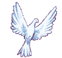 c0078592_326315.gif