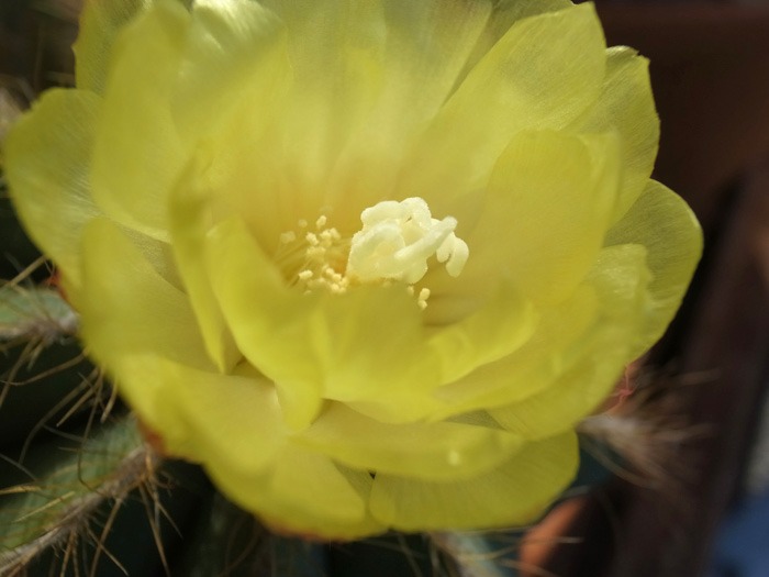 c0049299_15464411.jpg