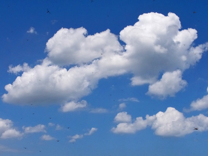 c0049299_15471756.jpg