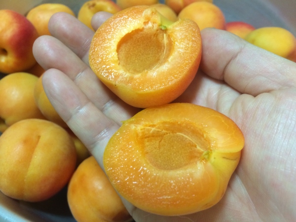 杏の砂糖漬けを作る 幸せを探しだすこぶた 杏の砂糖漬けを作る 幸せを探しだすこぶた