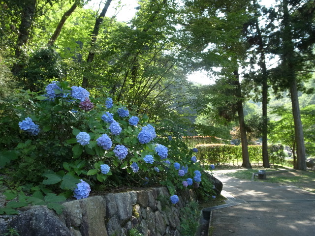 f0197703_10251192.jpg