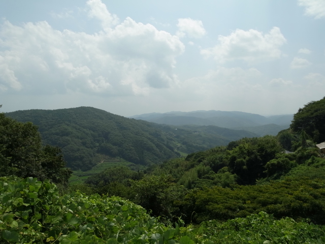 f0197703_9431042.jpg