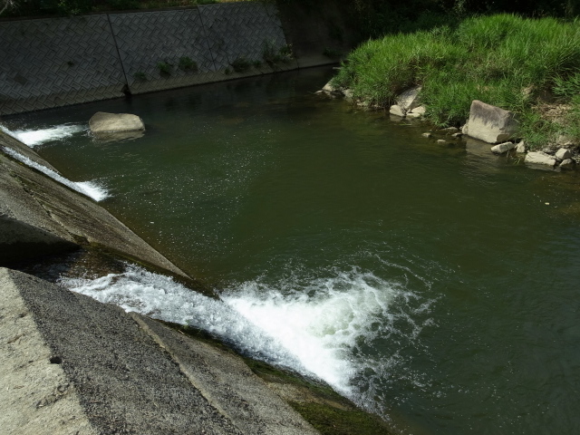 f0197703_9574367.jpg