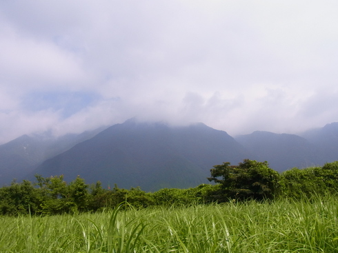 山梨           　　　　　　　クロシジミ初見2014/07/26①_d0251807_18521739.jpg