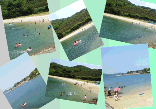f0231709_167409.gif