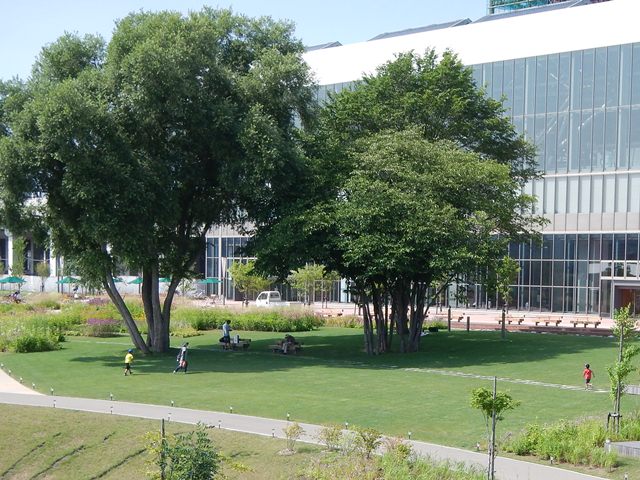 e0336214_15444546.jpg