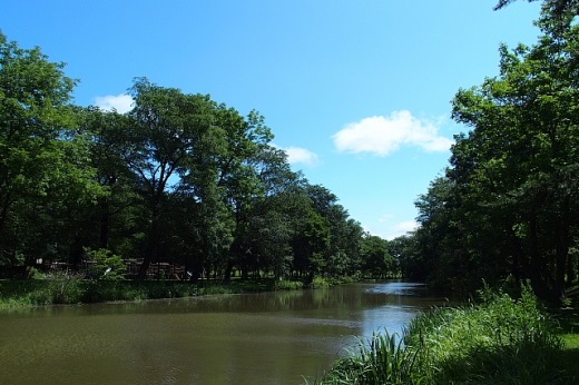 2014年7月28日（月）：青空＆強風［中標津町郷土館]_e0062415_1733420.jpg