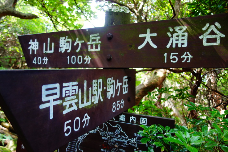 a0287336_0253871.jpg