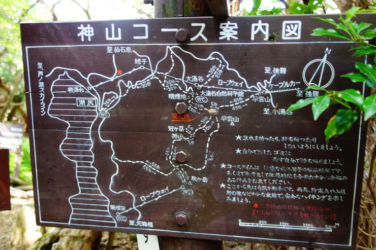 a0287336_0262440.jpg