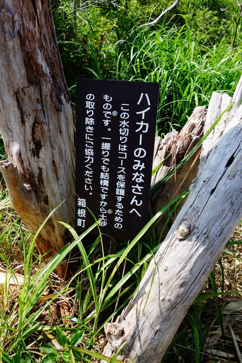 a0287336_082775.jpg