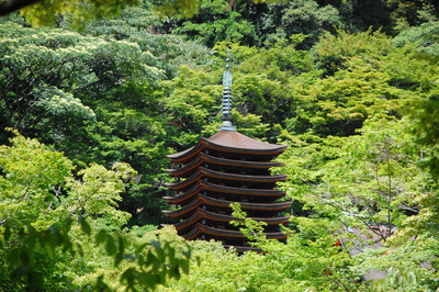 多武峰から飛鳥の里に_a0237937_2263639.jpg