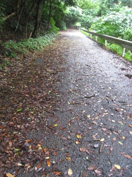c0077338_60996.jpg