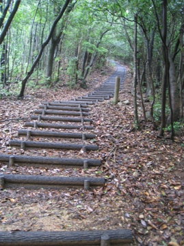c0077338_61459.jpg