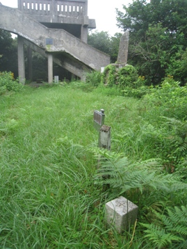 c0077338_62027.jpg
