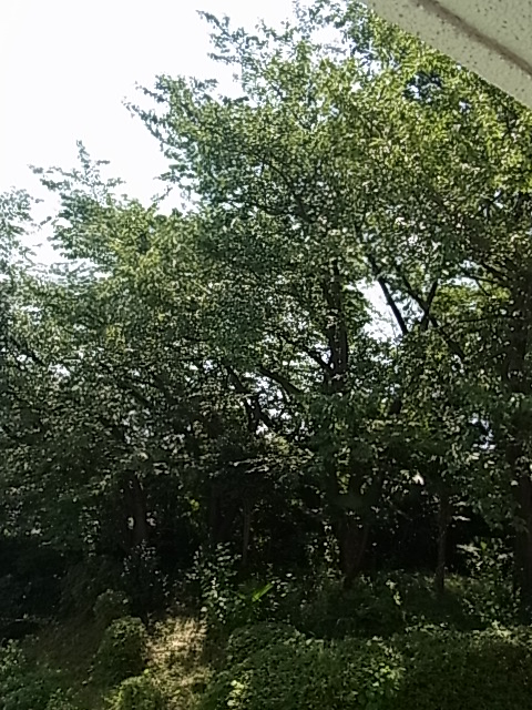 e0242839_08142000.jpg