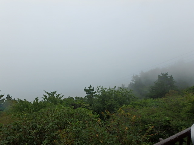 f0334143_8471762.jpg