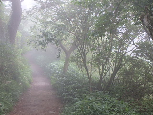 f0334143_8473450.jpg