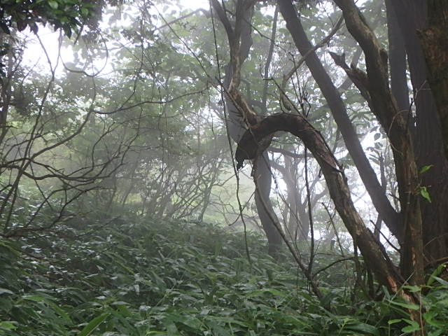 f0334143_8474139.jpg