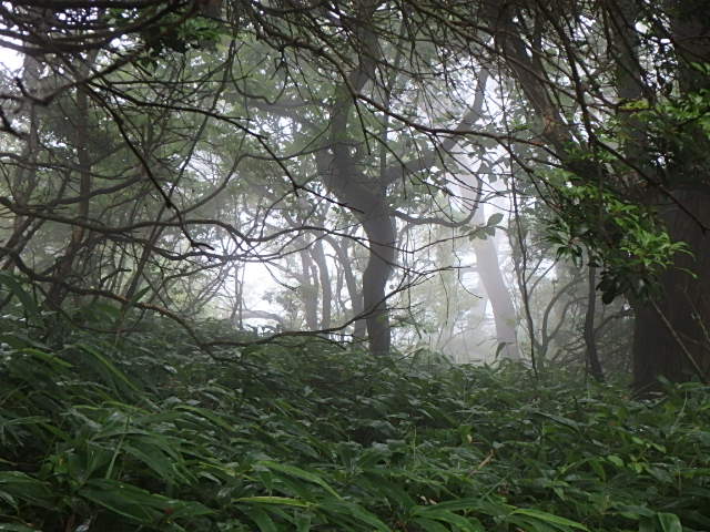 f0334143_847509.jpg