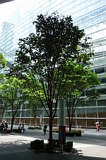 おやじの背中「なごり雪」_e0080345_08204312.jpg