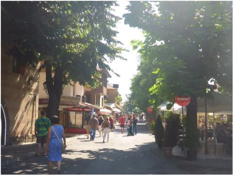 e0210347_04328.jpg