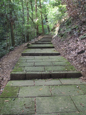 f0064449_92623.jpg