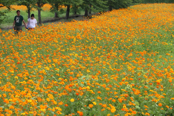 c0272958_2136815.jpg