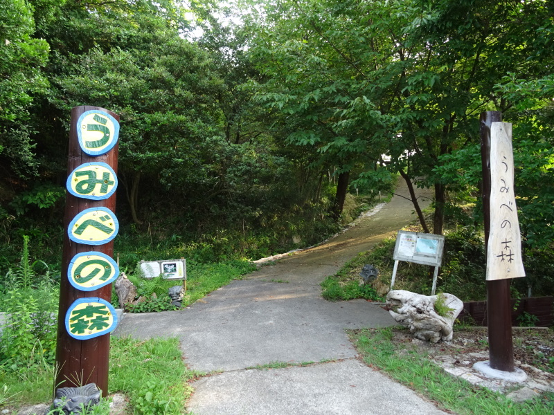 大阪府立大学「カニ調査」第２日目　　in   せんなん里海公園_c0108460_02463199.jpg