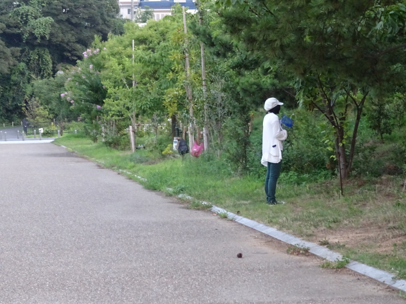 大阪府立大学「カニ調査」第２日目　　in   せんなん里海公園_c0108460_02592129.jpg