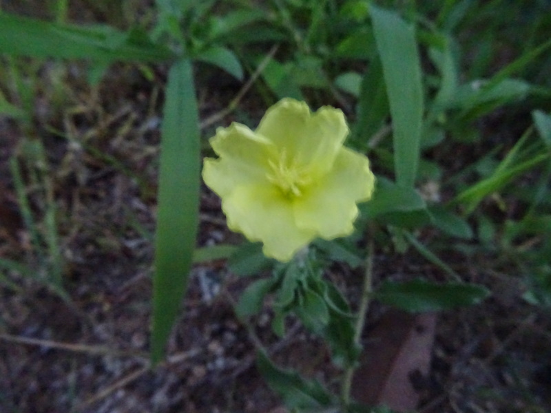c0108460_02592200.jpg