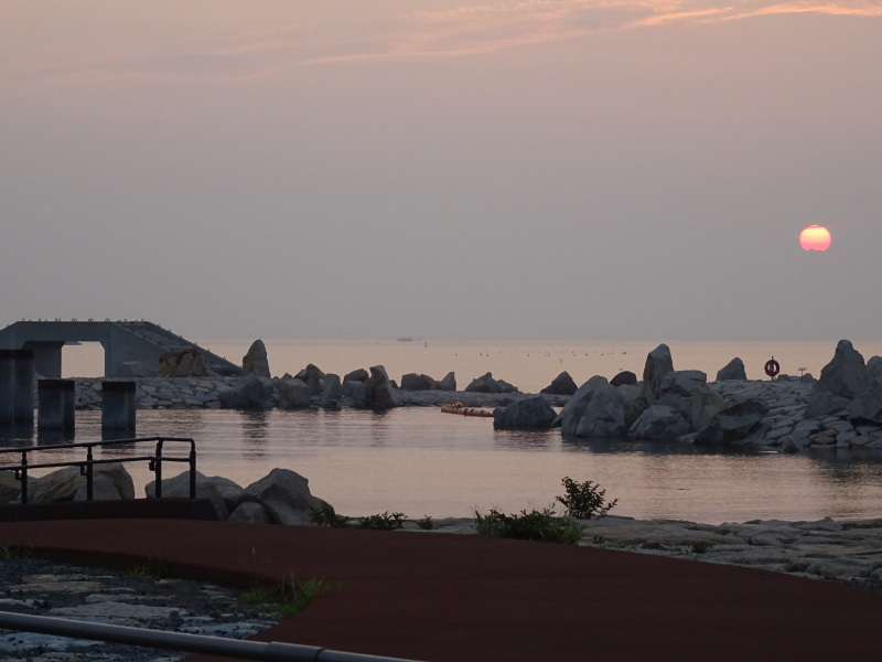 大阪府立大学「カニ調査」第２日目　　in   せんなん里海公園_c0108460_03403561.jpg