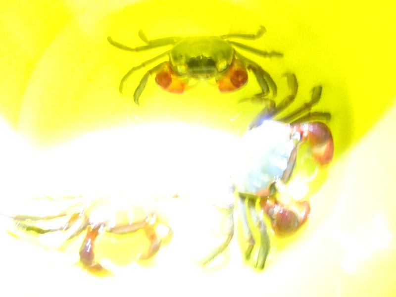 c0108460_03403704.jpg