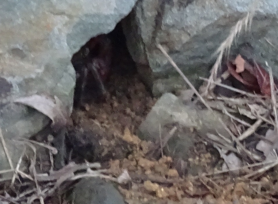c0108460_03403792.jpg