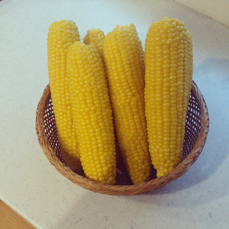 c0311170_8565224.jpg
