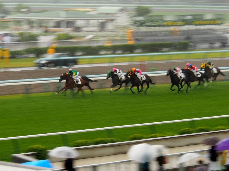 札幌競馬場グランドオープン２日目　０７２７_c0183777_1903317.jpg