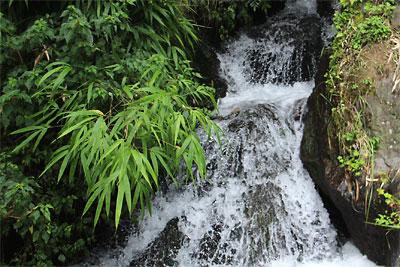 c0152779_1163025.jpg